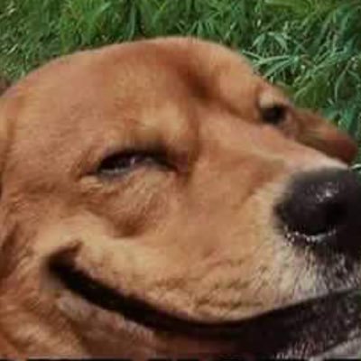 Profile Picture of Jèsse (@Jesse_Rams) on Twitter