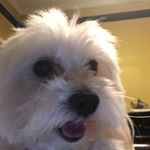 Profile Picture of Piper Lane McCoy (@pip3r_1t_up) on Instagram