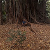 Abderrahmane Akkouche - Quora Profile Picture of Abderrahmane Akkouche (@abderrahmane-akkouche) on Quora