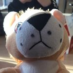 Profile Picture of Greg Mitchell Macgregor (@greg.gorgous) on Instagram