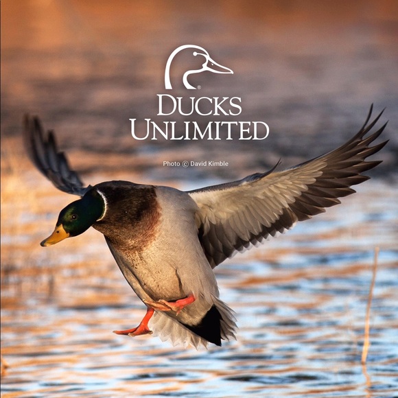 Profile Picture of Chase Blanchard (@deskpop101) on Poshmark