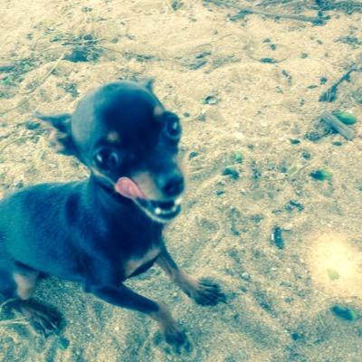 Profile Picture of LORENZO DE ANDRADE C (@LORENZO15162) on Twitter
