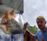 Profile Picture of   jenaro rodriguez... (@jenarorodriguez) on Tiktok