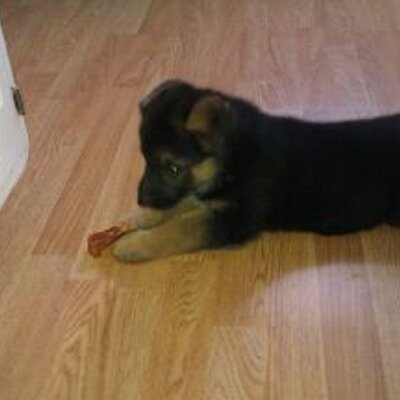 Profile Picture of Tatiana Almanza (@bluie11) on Twitter