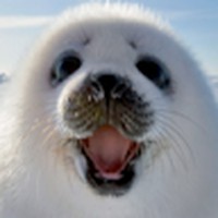 Profile Picture of Matt Kearney (@matt-kearney-25) on Quora
