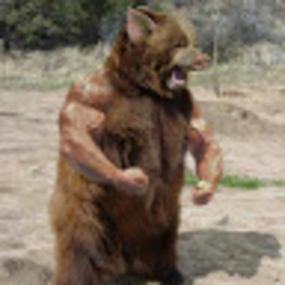 Profile Picture of Ryan Crannell (@ryan92384) on Poshmark