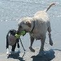 Sandy Mcgee - Quora Profile Picture of Sandy Mcgee (@sandy-mcgee-3) on Quora