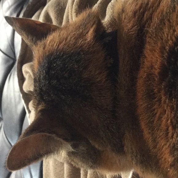 Christy Nyland - Poshmark Profile Picture of Christy Nyland (@christylynn41) on Poshmark