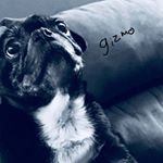 Profile Picture of Kyle Chalker (@kyle.chalker.100) on Instagram