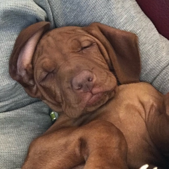 Profile Picture of Cheryl Jehn (@cheapclothescj) on Poshmark