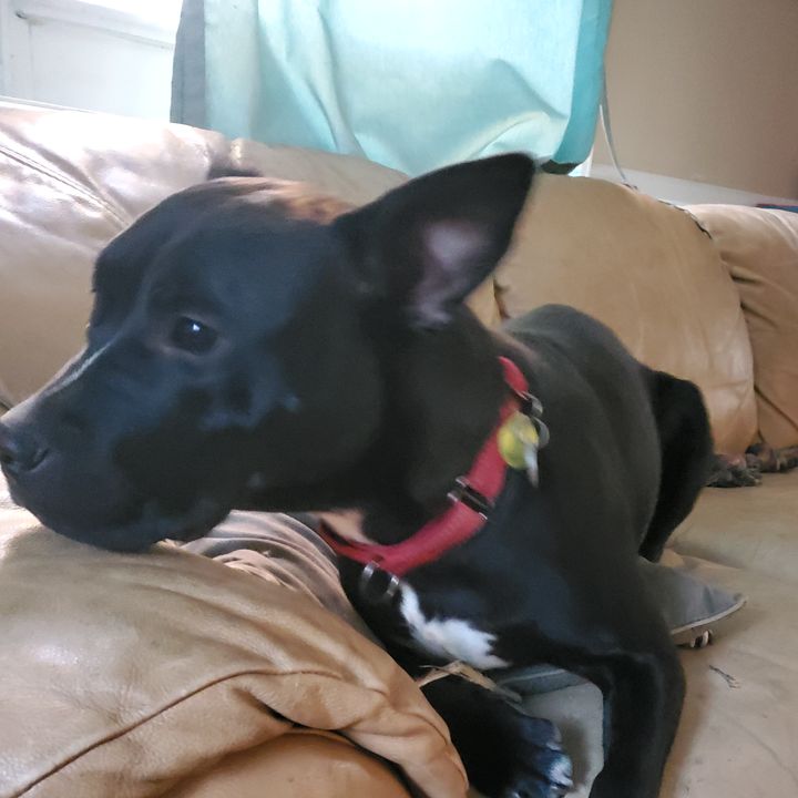 Profile Picture of gregorylavdas (@gregorylavdas) on Tiktok