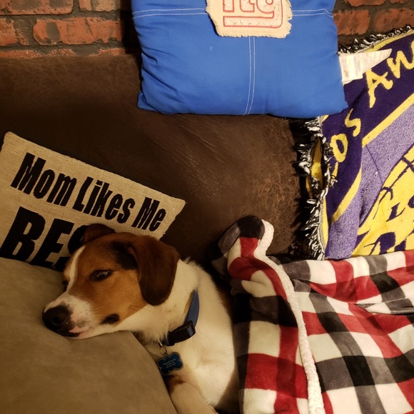 Profile Picture of Daniel Hart (@hoodie_d1511) on Poshmark