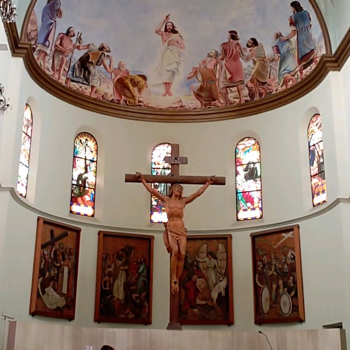 Profile Picture of minka (@minkap) on Tiktok