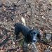 Profile Picture of Kevin Jury (@kevin.jury.5036) on Facebook