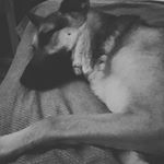 Profile Picture of krista franklin (@krista_franklin287593) on Instagram