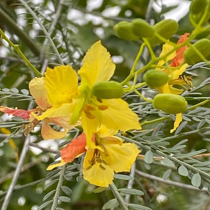 Profile Picture of Loripre (@loriprel) on Tiktok