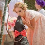 Profile Picture of Cinthya Gonzalez Lorenzo (@cinthyagonzalezlorenzo) on Instagram