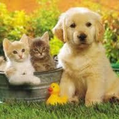 Profile Picture of Isabel Leos (@game310) on Twitter