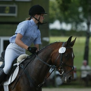 Profile Picture of Nordhoff (@franzis_reitschule) on Myspace
