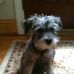 Profile Picture of Scott E. Alkire (@scott.e.alkire.7) on Facebook