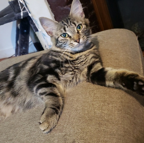 Profile Picture of David Harding (@dharding619) on Poshmark