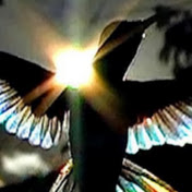 Profile Picture of Edgardo Palomino (@jocoqueloco) on Youtube