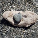 Profile Picture of Kerri Davey (@kerridavey) on Instagram