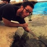 Profile Picture of Robin Hare (@robin_hare) on Instagram