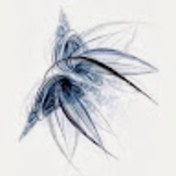 Profile Picture of Nicola Mussett (@nmussett) on Poshmark