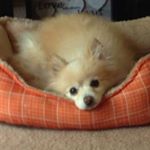 Profile Picture of Deb Corcoran (@deb.weir.corcoran) on Instagram