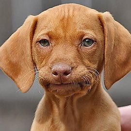 Profile Picture of ❄️Jesse Graham❄️ (@_JesseGraham_) on Twitter