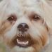 Profile Picture of Steve Parr (@steve.parr.982) on Facebook