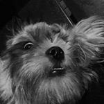Profile Picture of Angel Grace (@mutterybuttery) on Instagram