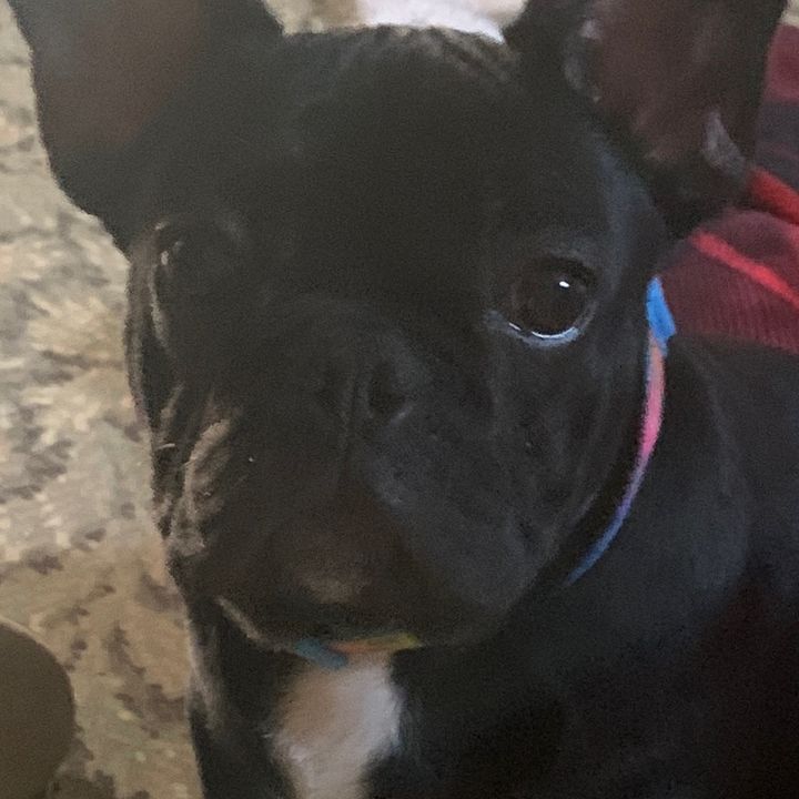 Profile Picture of David Grady (@david.grady) on Tiktok