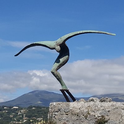 Profile Picture of Steve Garside (@schaffi_flyer) on Twitter