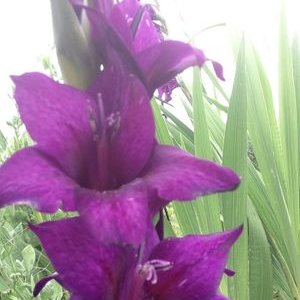 Profile Picture of Chris Stierwalt (@ChrisStierwalt1) on Twitter