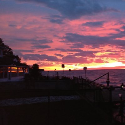 Profile Picture of Roberta Roy (@robroy2888) on Twitter