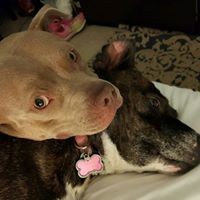 Profile Picture of Bryan Moon (@bryan-moon-4) on Quora