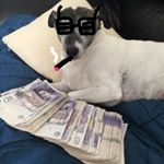 Profile Picture of Michael Kinnersley (@michaelkinnersley) on Instagram