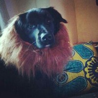 Profile Picture of Sinead Osullivan (@sinead-osullivan-24) on Quora