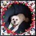 Profile Picture of Kaye Roberts (@kaye.roberts.315) on Facebook