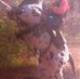 Profile Picture of Gregory Kerns (@gregory.kerns.1) on Facebook