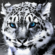 Profile Picture of Bryan Trimble (@bryantrimble6940) on Youtube