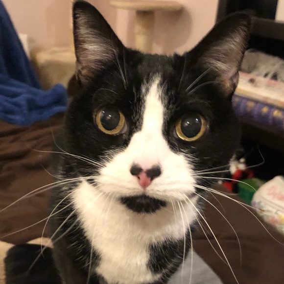 Dylan Crowell - Poshmark Profile Picture of Dylan Crowell (@dylancrowell) on Poshmark