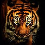 Profile Picture of Eunice Chambers (@eunicechambers61) on Instagram