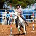 Profile Picture of Addison Campbell (@campbellacc07) on Pinterest