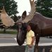 Profile Picture of Ron Scherer Sr. (@Ron-Scherer-Sr) on Facebook