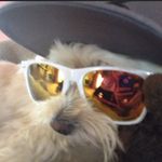 Profile Picture of Brock Burrow (@brockburrow11) on Instagram