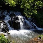 Profile Picture of Sandra Schrock (@sandraschrock) on Instagram