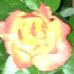 Profile Picture of Ja Ayers (@ja.ayers.12) on Facebook